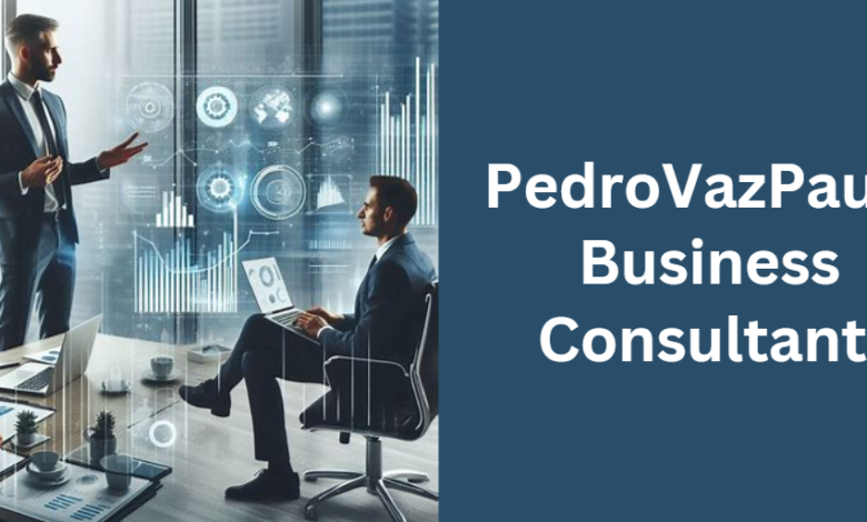 pedrovazpaulo operations consulting